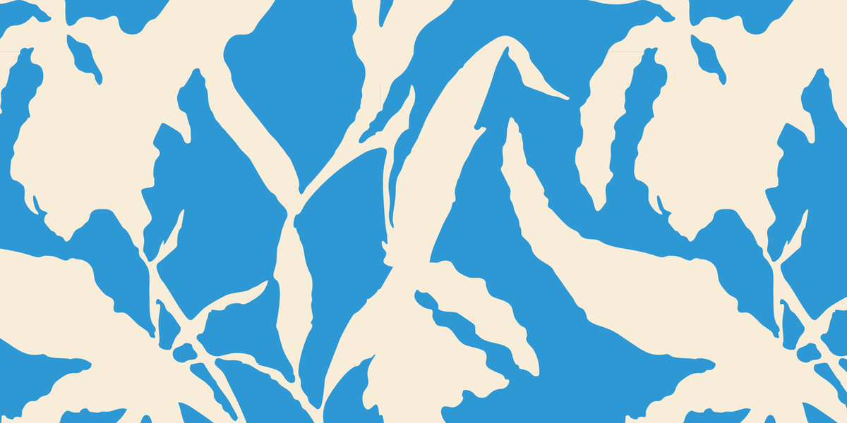 Blue Fern